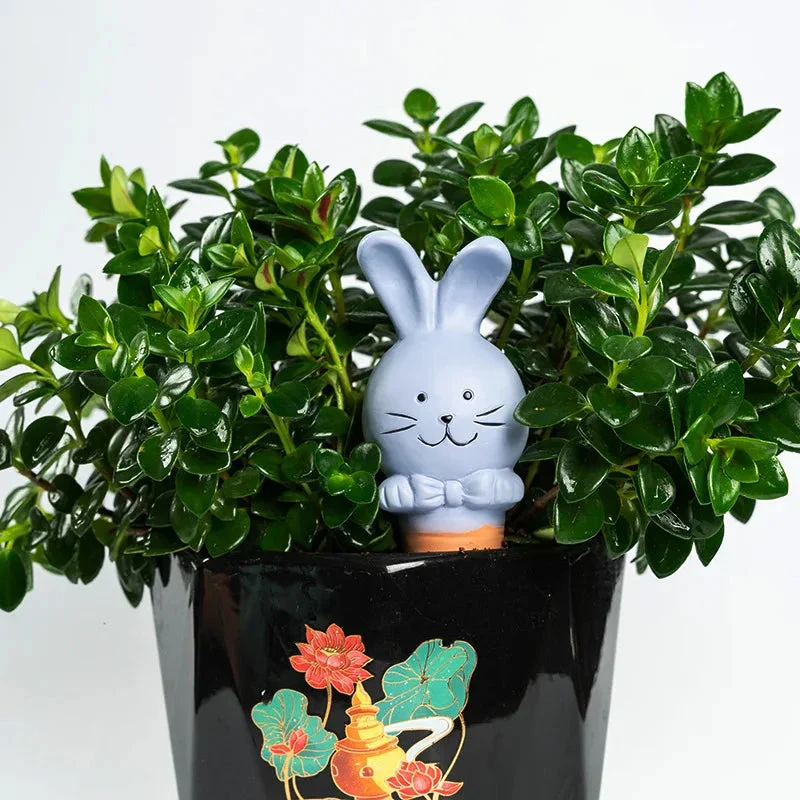 Bunny Plant Watering Stakes - Image 3