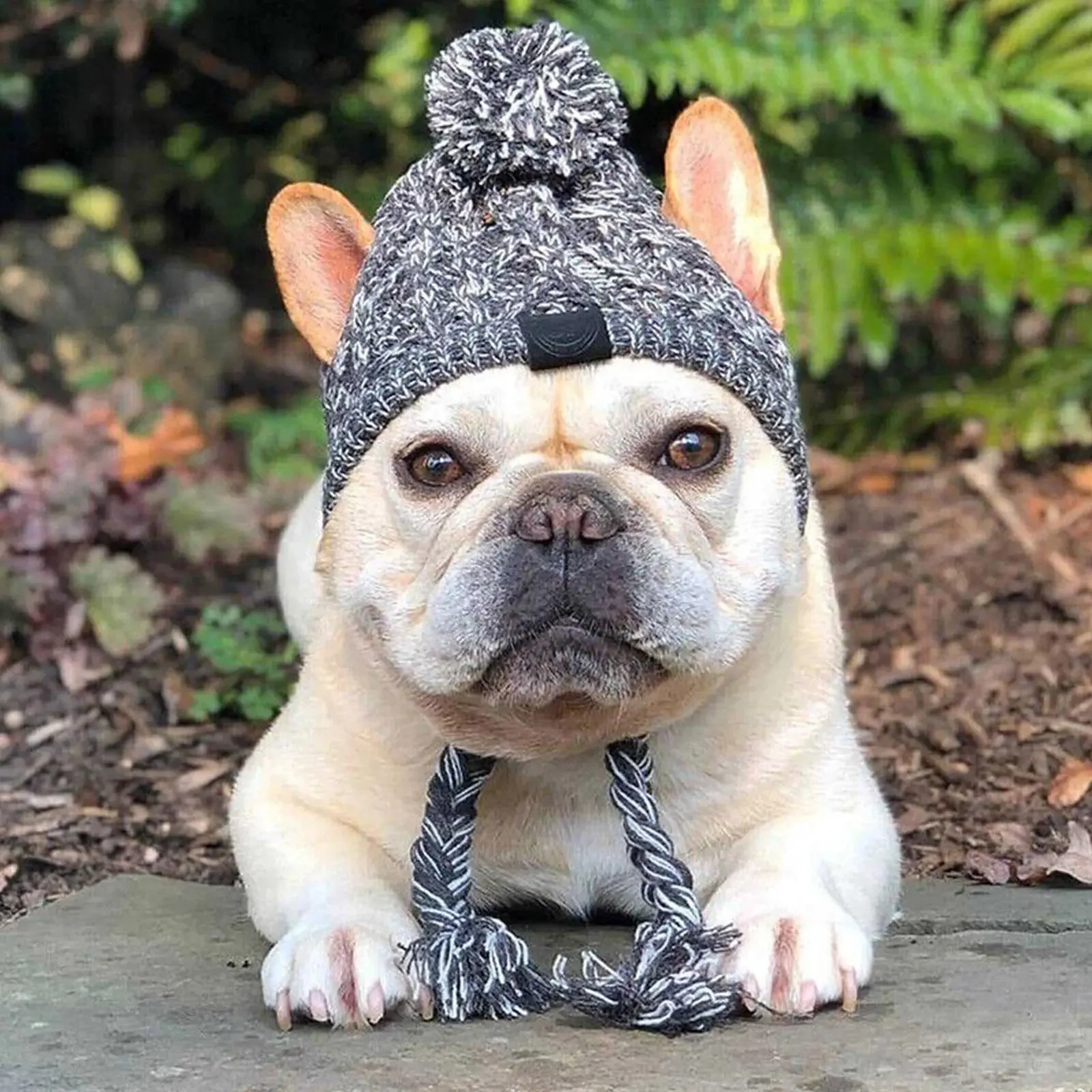 Dog Pom Beanie - Image 3