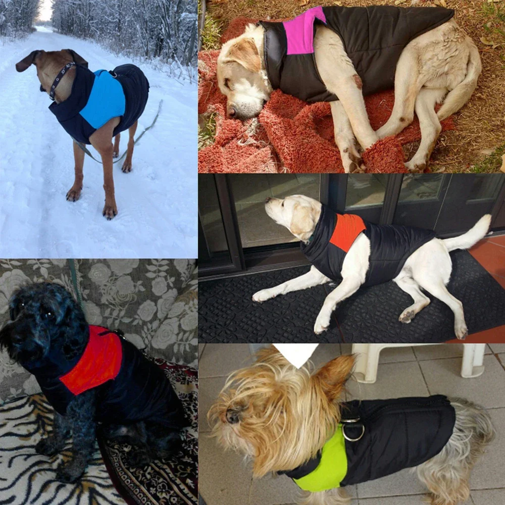 Happy Tails Snuggle Pup Jacket - Image 10