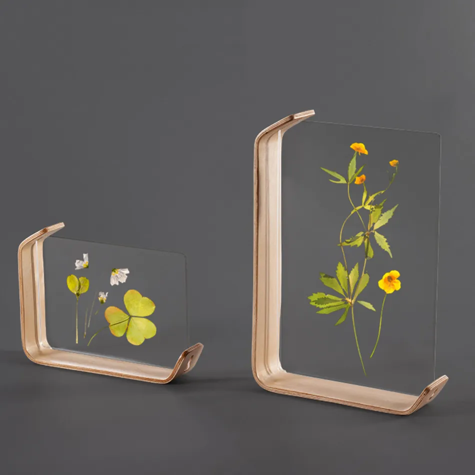 NeatNest Acrylic Frame - Image 5